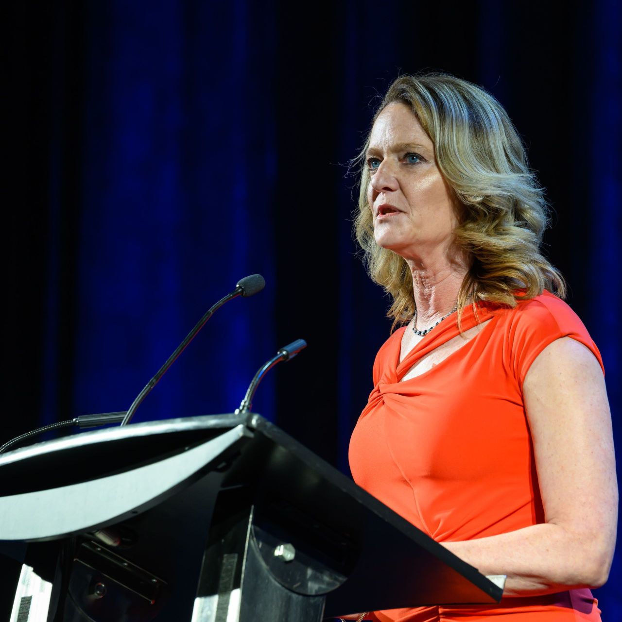 The Advocates’ Society Dinner – Remarks by ACTL President-Elect Sandra ...